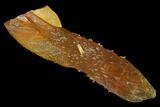 Amber-Yellow Calcite Crystals - Highly Fluorescent! #177283-2